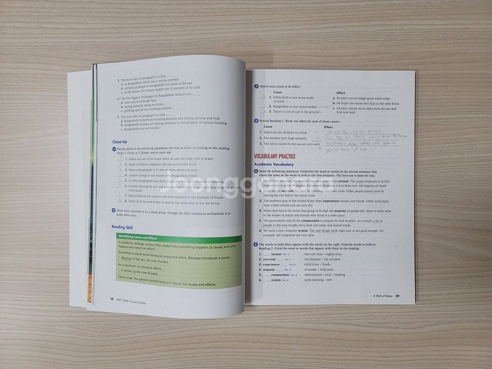 reading and vocabulary focus 1--1