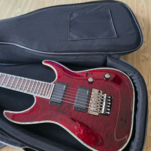 ESP LTD Deluxe MH-1000 일렉기타 판매