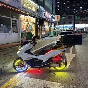 Pcx125 20년식 풀튜닝