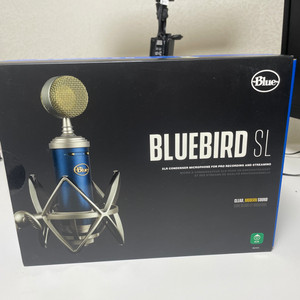 블루버드 BLUEBIRD SL 콘덴서마이크