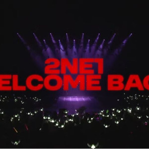 2ne1 티켓 2장 삽니다