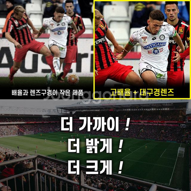 새제품 고배율 쌍안경 새조류 자연관측 택배비포함--3