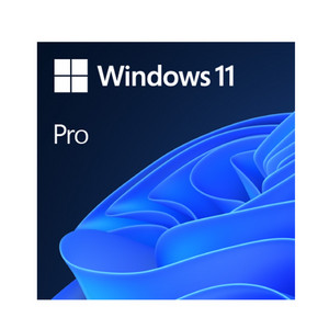 win11 PRO ESD 89000원 정품