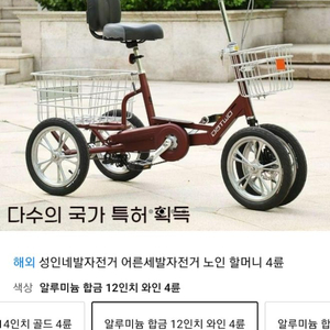 성인용 네발자전거