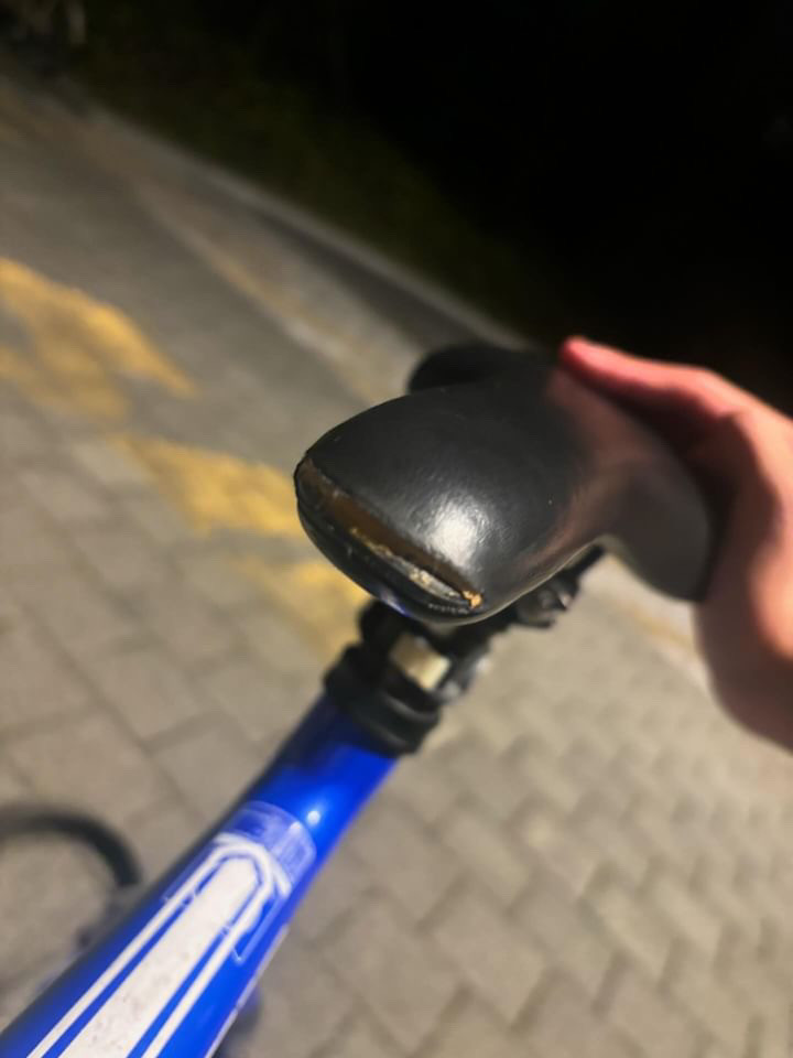 2016 콘스탄틴 버나드 블루색상 이미지