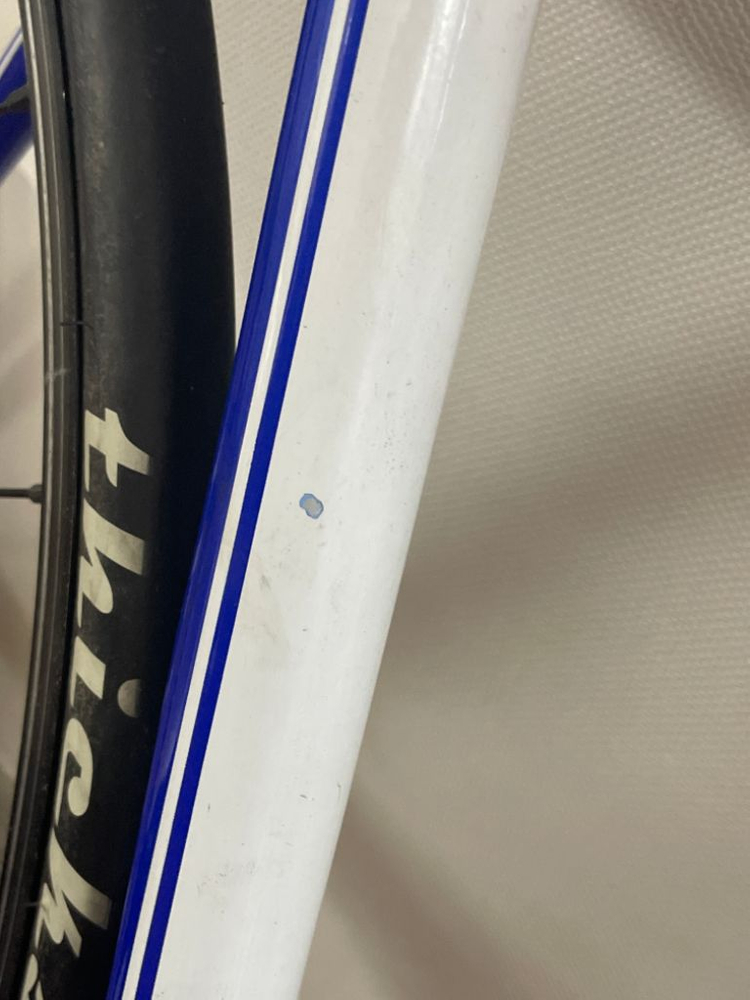 2016 콘스탄틴 버나드 블루색상 이미지