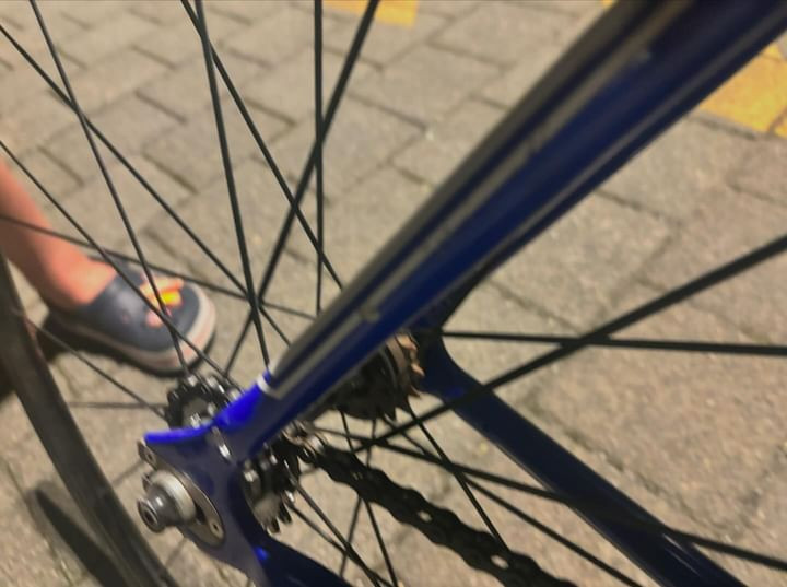 2016 콘스탄틴 버나드 블루색상 이미지