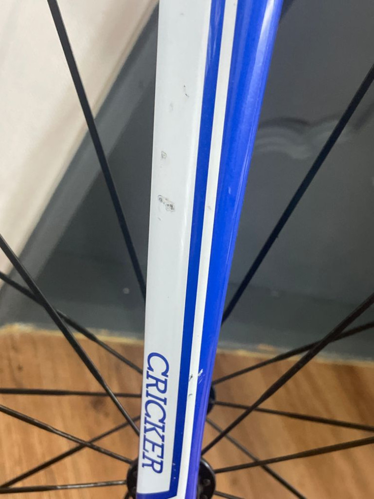 2016 콘스탄틴 버나드 블루색상 이미지