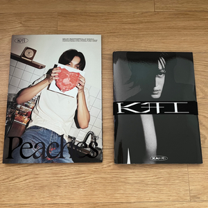 엑소 카이 피치스, 음 앨범 2장 kai peaches