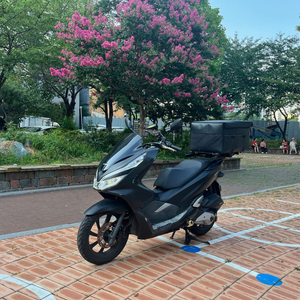 pcx125 20년식