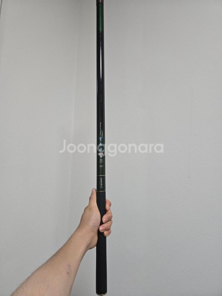 장대 낚시대 민물낚시 붕어낚시 민장대 찌낚시--3
