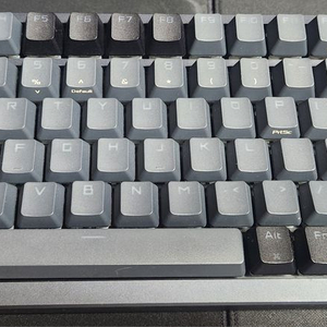 asus rog azoth 청축 (풀윤활 황축)