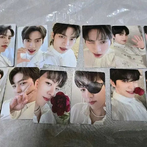 인피니트 무한대집회 포카 포토카드장동우 이성열 이성종