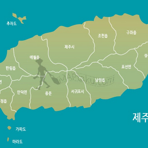 sk렌터카 or 롯데렌터카 쿠폰 삽니다 제주도, 카니발