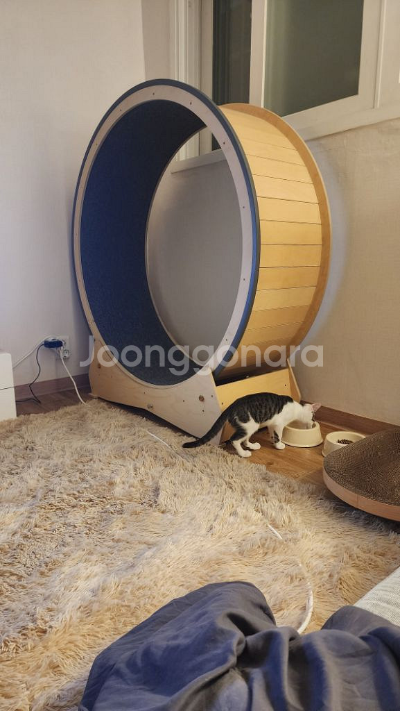 원목 저소음 캣휠--3