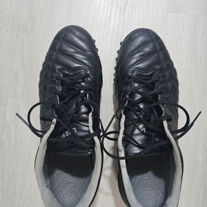 데피니브 BS ONE 280