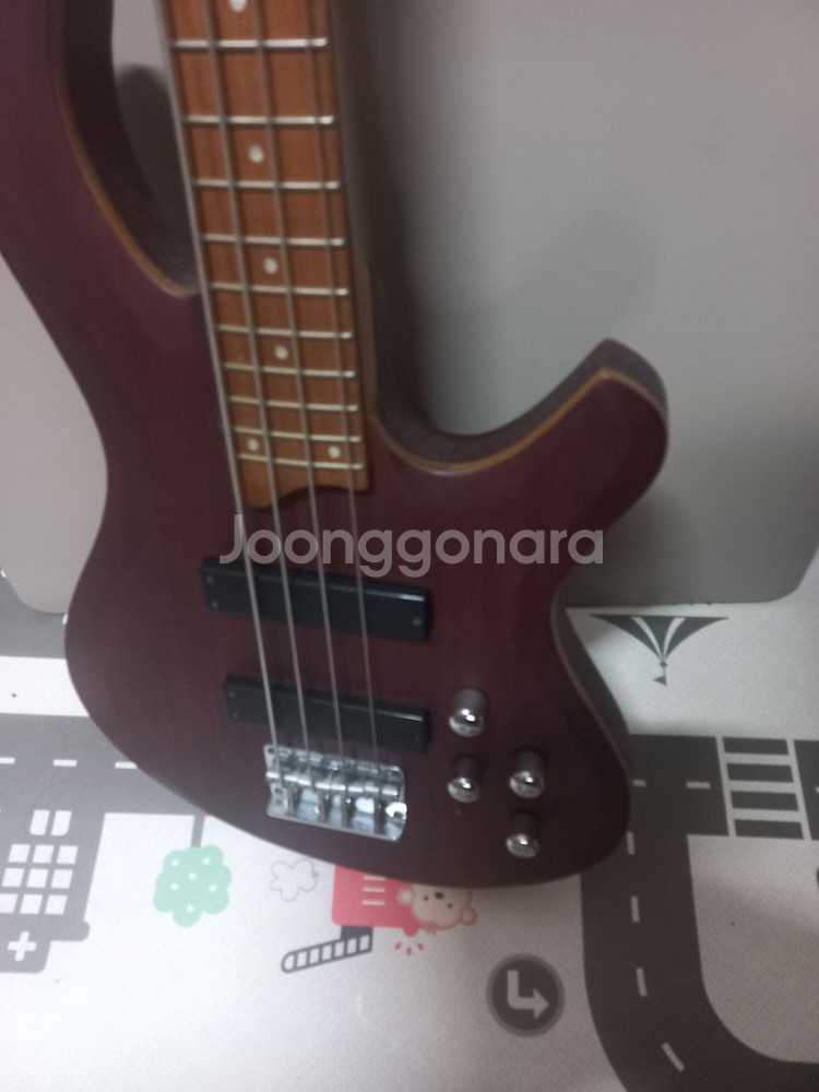 데임 폴앤폴 250 베이스기타--0