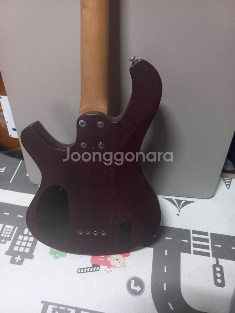 데임 폴앤폴 250 베이스기타--4