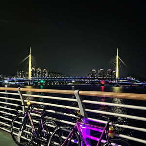 픽시 엔진11 볼텍스 판매합니다