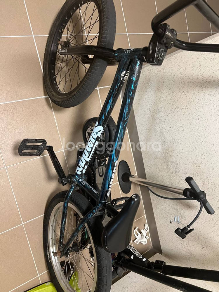 선데이bmx포어테스터 한정--0