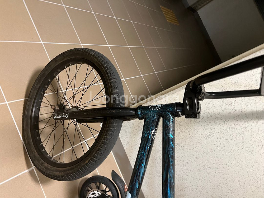 선데이bmx포어테스터 한정--2