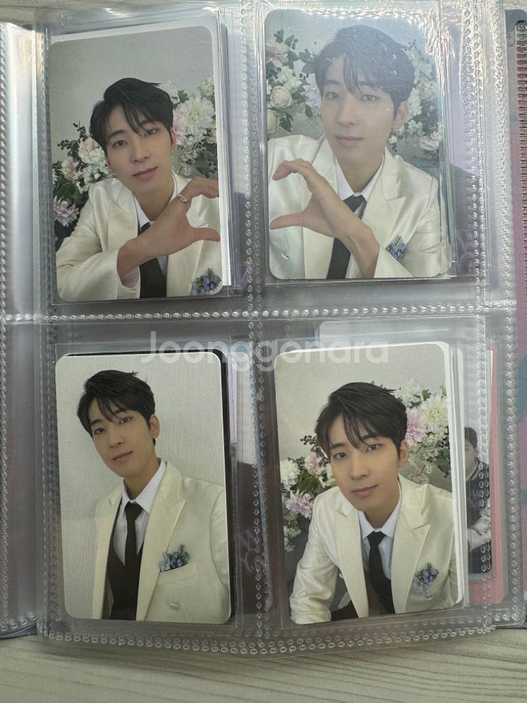 세븐틴 원우 포카 양도--8