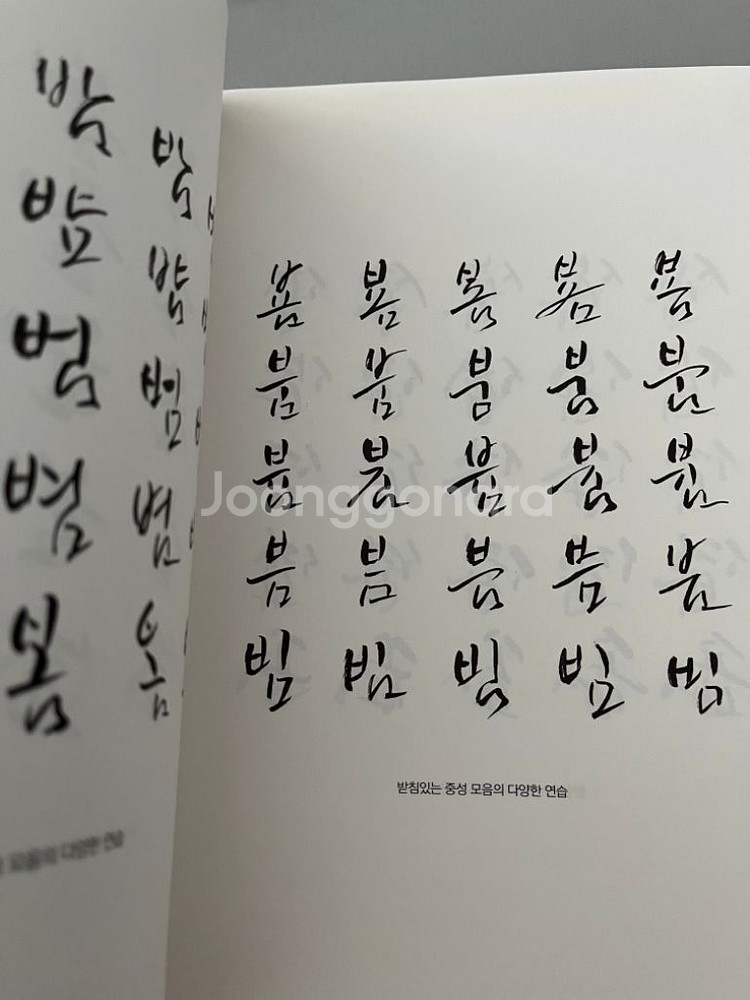 이규복 실전 캘리그라피 택비포함--5