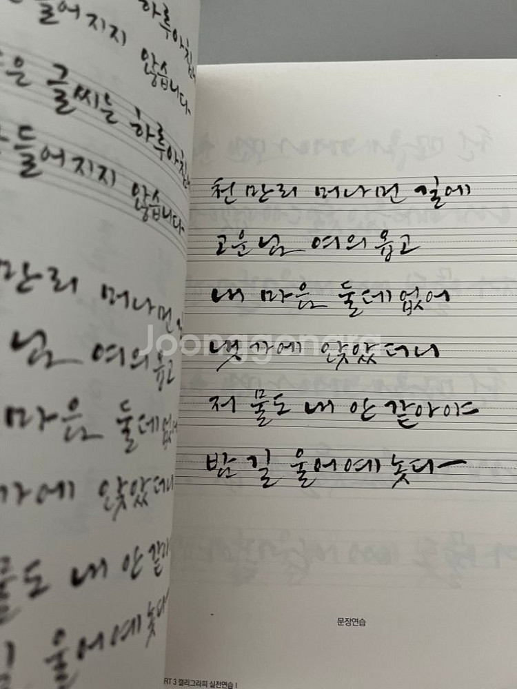 이규복 실전 캘리그라피 택비포함--4
