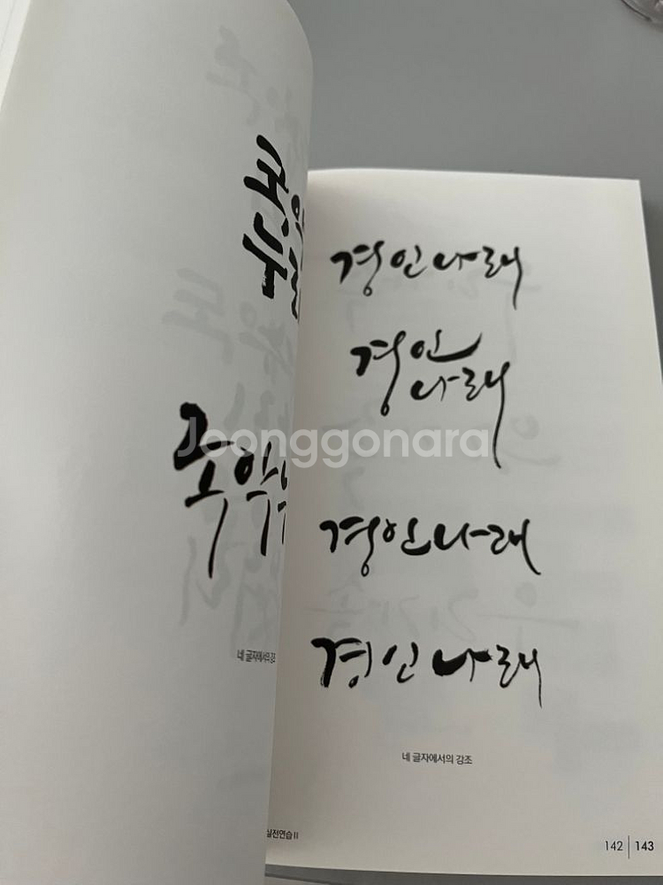 이규복 실전 캘리그라피 택비포함--3