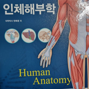 고문사 인체해부학 제6판