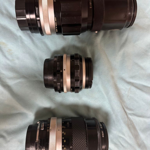 니콘 해바라기 200mm