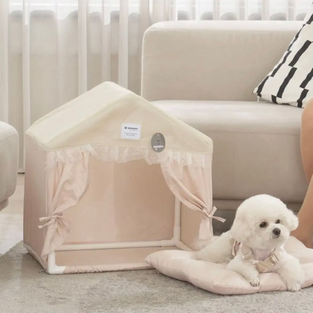 반려동물(강아지 고양이) 하우스 집