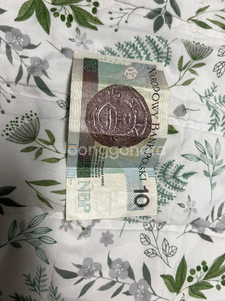 15만 어치 캐나다, 미국 동전 판매합니다.--3