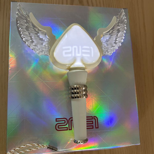 투애니원 2ne1 응원봉