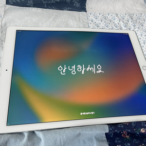 아이패드 프로 1세대 12.9 셀룰러 128기가