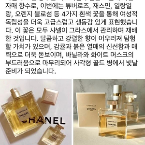 샤넬 가브리엘 100미리