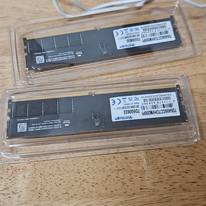 패트리어트ddr5 램32g 5600 cl46 evo