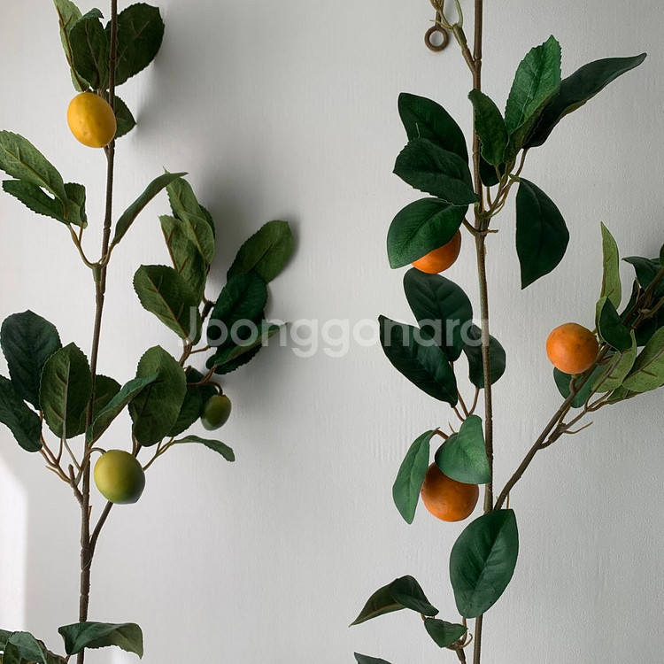 레몬 유자 오렌지 유주 귤 가란드 1.8m 플랜트월 조--3