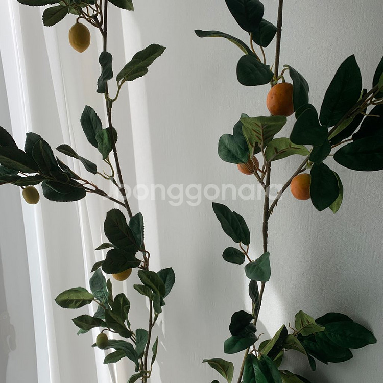 레몬 유자 오렌지 유주 귤 가란드 1.8m 플랜트월 조--2