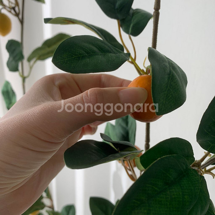 레몬 유자 오렌지 유주 귤 가란드 1.8m 플랜트월 조--4