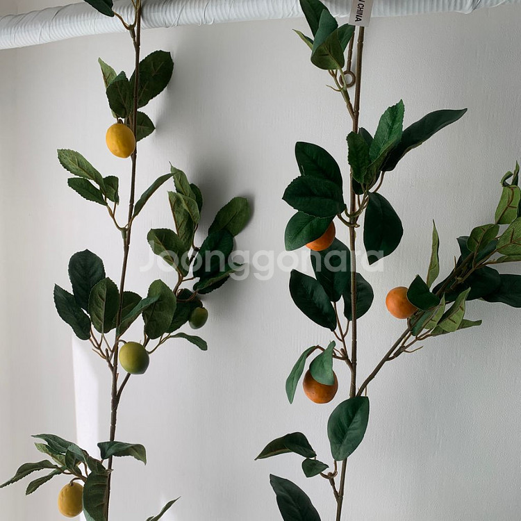 레몬 유자 오렌지 유주 귤 가란드 1.8m 플랜트월 조--1