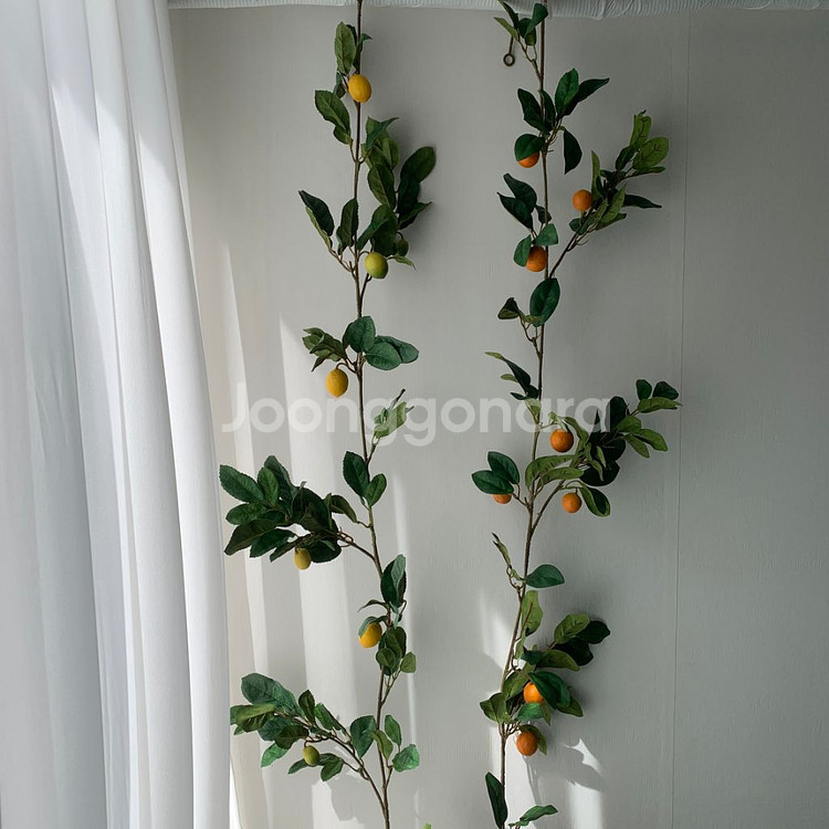 레몬 유자 오렌지 유주 귤 가란드 1.8m 플랜트월 조--6