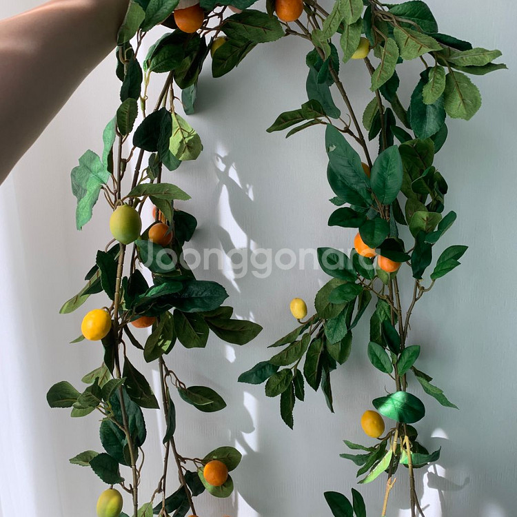 레몬 유자 오렌지 유주 귤 가란드 1.8m 플랜트월 조--8