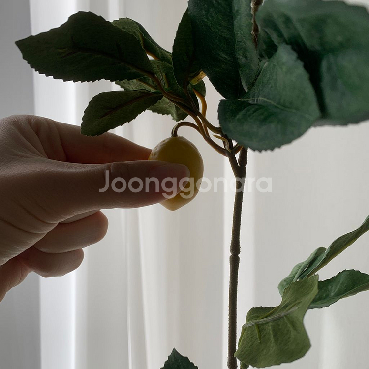 레몬 유자 오렌지 유주 귤 가란드 1.8m 플랜트월 조--7