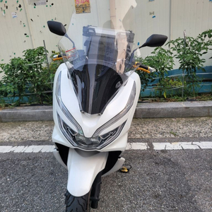 pcx20년식