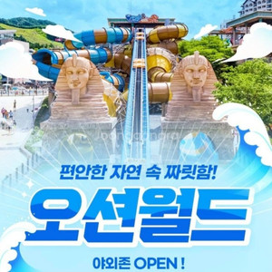 오션월드 골드시즌(~8/18)+구명조끼+야외락커