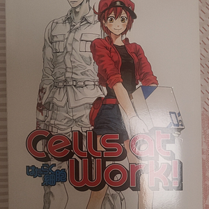 만화책 일하는세포 영어버전 cells at work