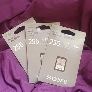 SONY SD 카드 256GB V60 (메모리 카드)