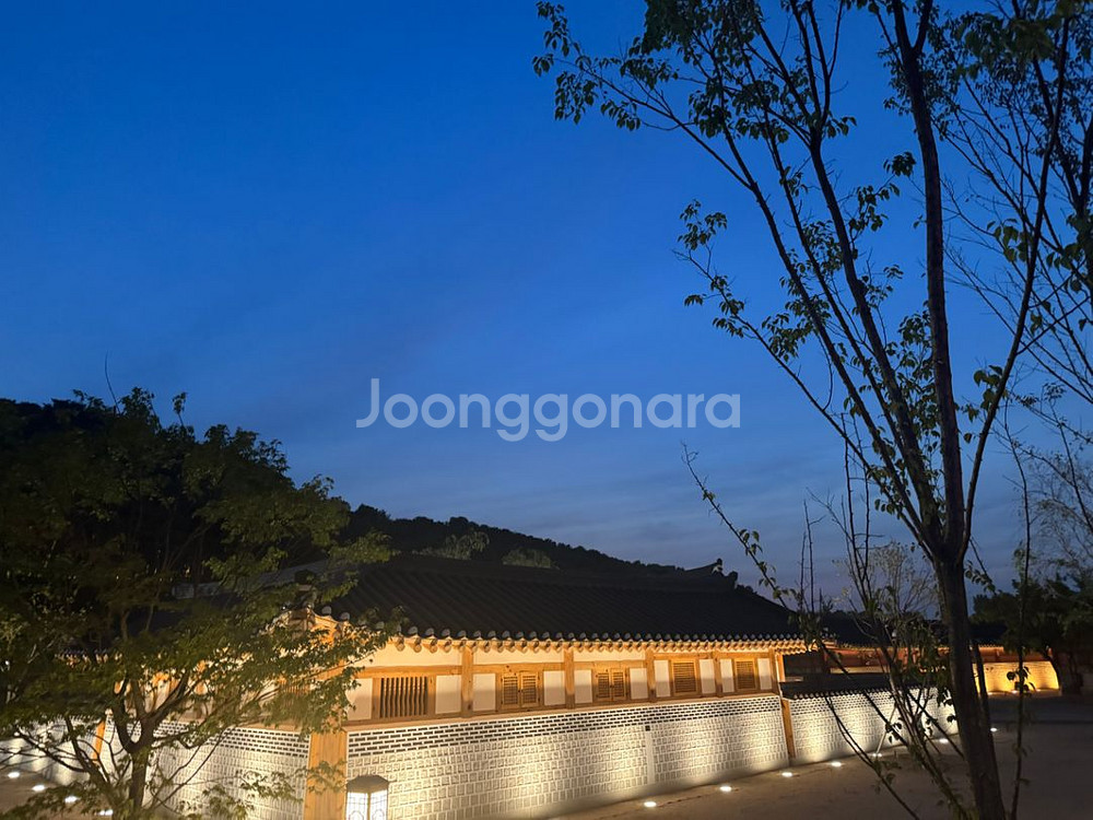 나이키 x 카시나 덩크 로우 80s 버스--0