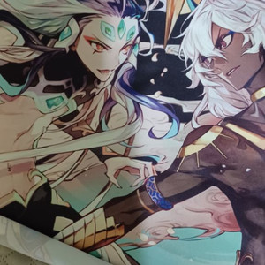 FGO 페그오 카르나 시황제&신준 태피스트리팝니다